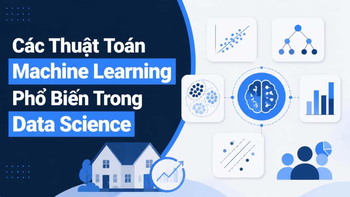 Các Thuật Toán Machine Learning Phổ Biến Trong Data Science